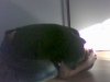 chillmode houding.jpg