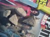20160227_085250.jpg