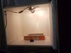 IMG_20190308_105921.jpg
