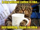funny-animals-2.png
