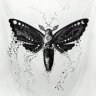 UmbraVitae