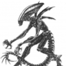 xeno1975